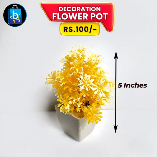 Decoration Flower Pot
